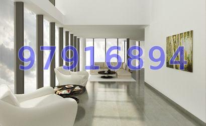 Fifteen Robin (D10), Condominium #65972872